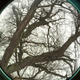 Illustration for article titled 10 Fierce Fisheye Photos